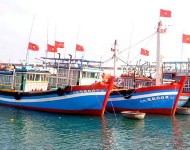 Phát triển nghề cá quy mô nhỏ bền vững tại Việt Nam – Dựa trên hướng dẫn của FAO
