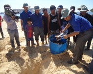 MCD and Nhon Hai protect coral reefs and marine environment for climate change adaptation