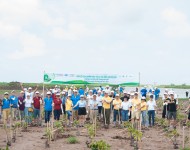 Ngày môi trường thế giới 2017